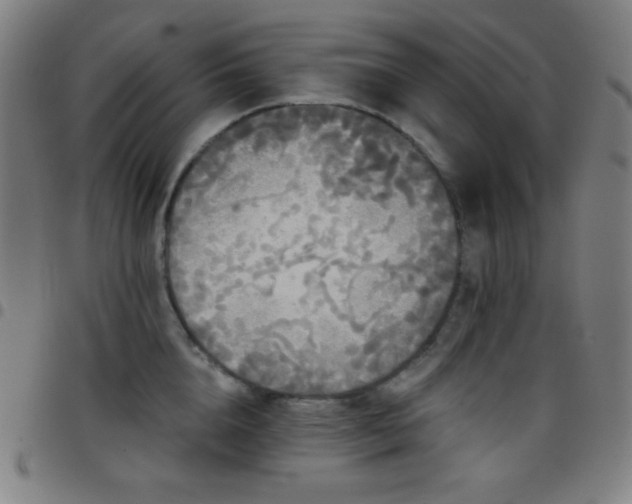 X0000097790856200803071411