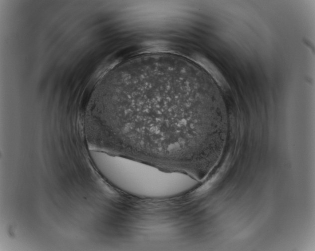 X0000097790857200803071411