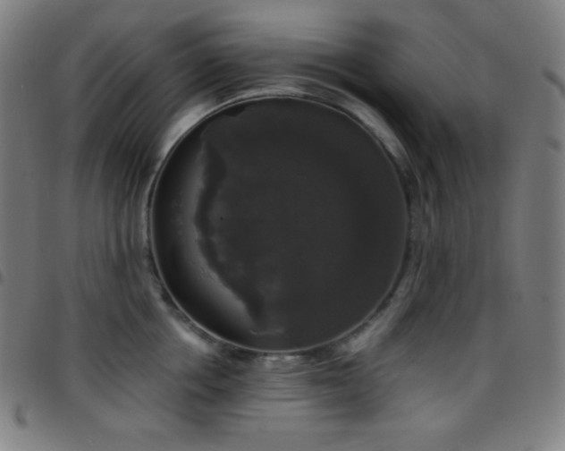 X0000097790858200803071411