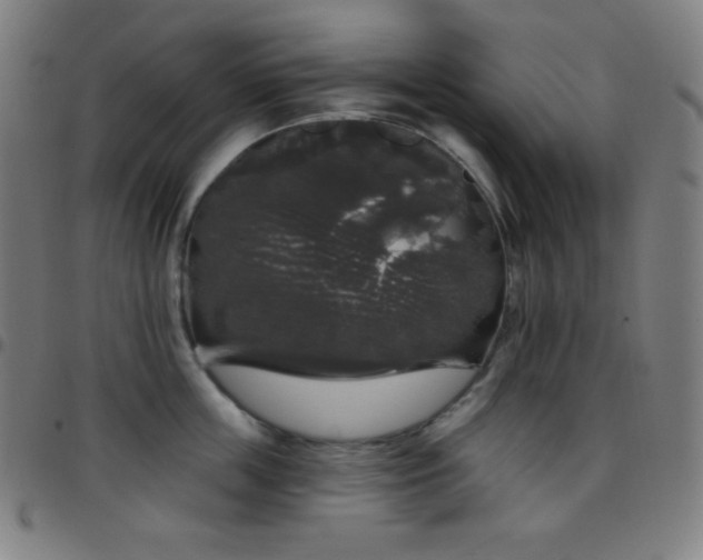X0000097790859200803071411