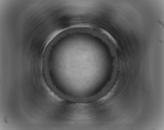X0000097790860200803071411