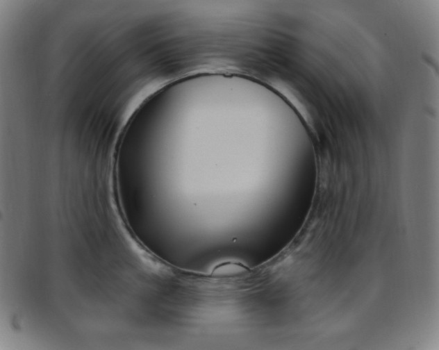 X0000097790861200803071411