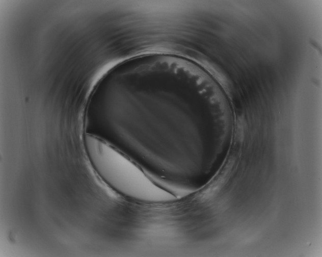 X0000097790862200803071411