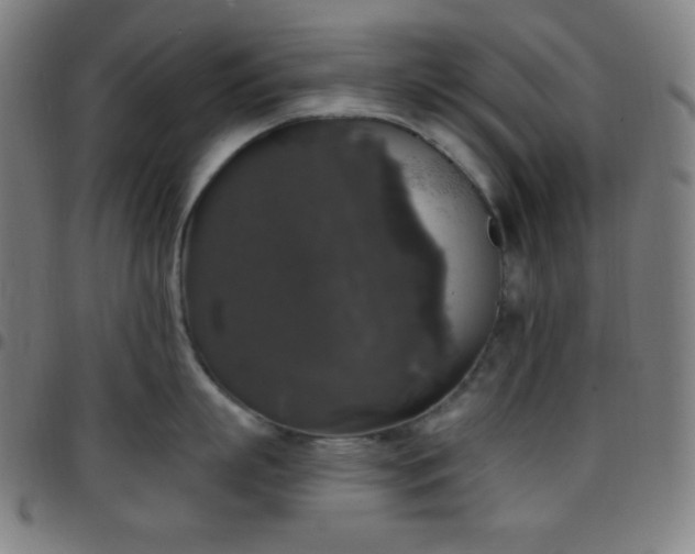 X0000097790863200803071411