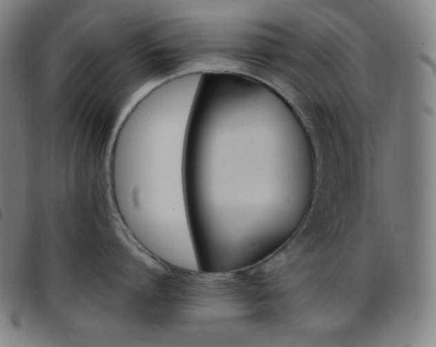 X0000097790864200803071411