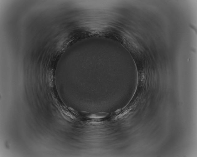 X0000097790868200803071410