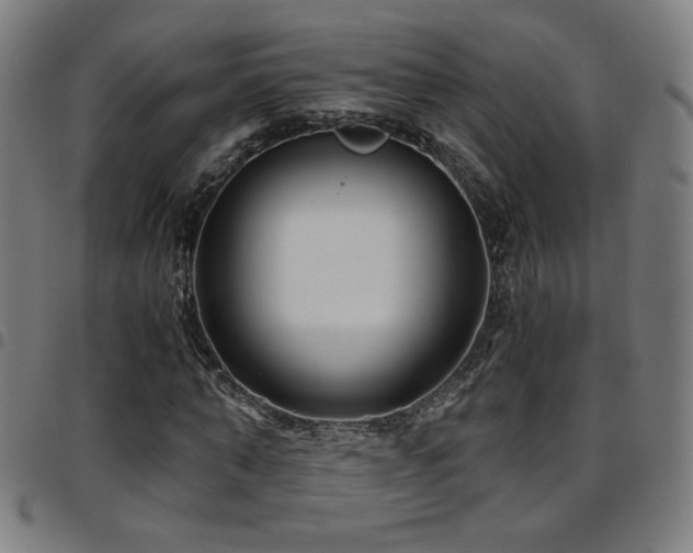X0000097790870200803071410
