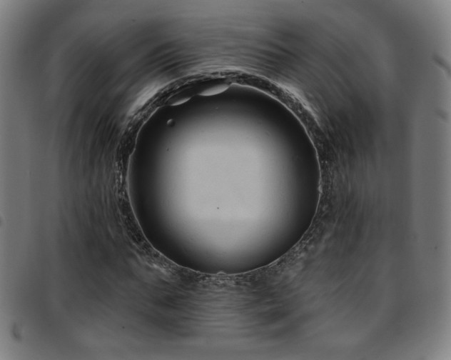 X0000097790871200803071410