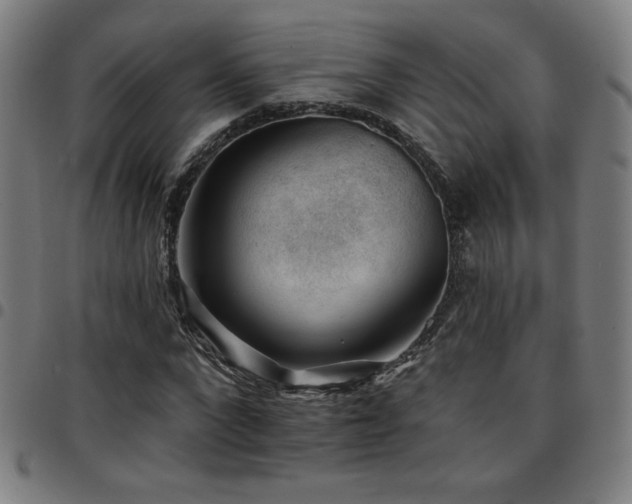 X0000097790872200803071410