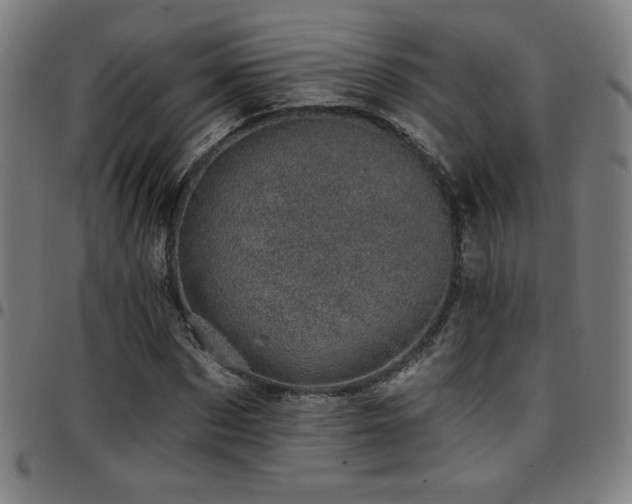 X0000097790873200803071410