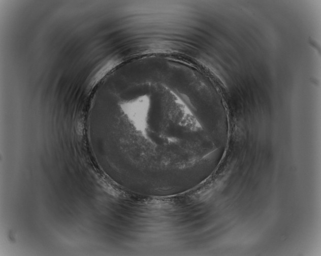 X0000097790874200803071410
