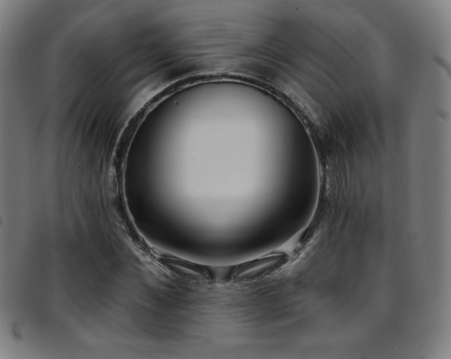 X0000097790876200803071410