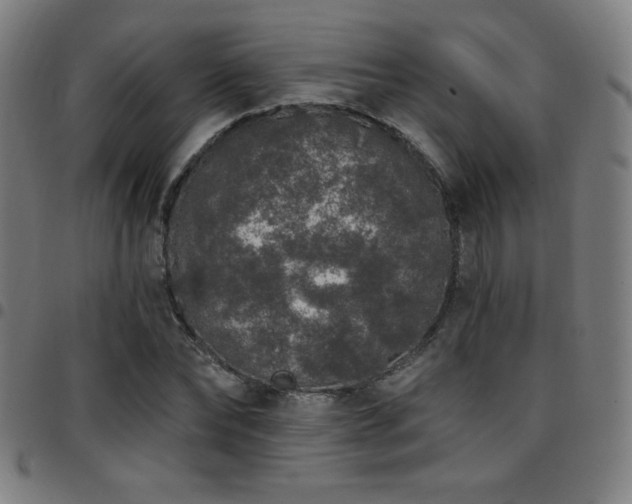 X0000097790878200803071410