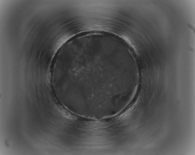 X0000097790879200803071410