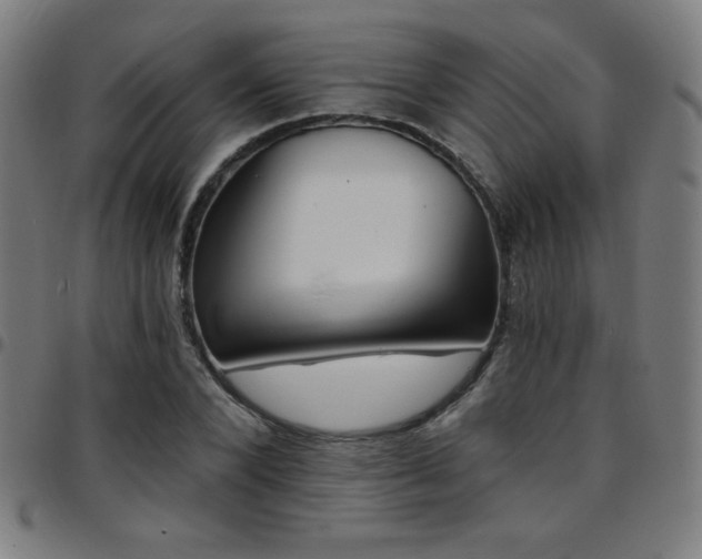 X0000097790880200803071410