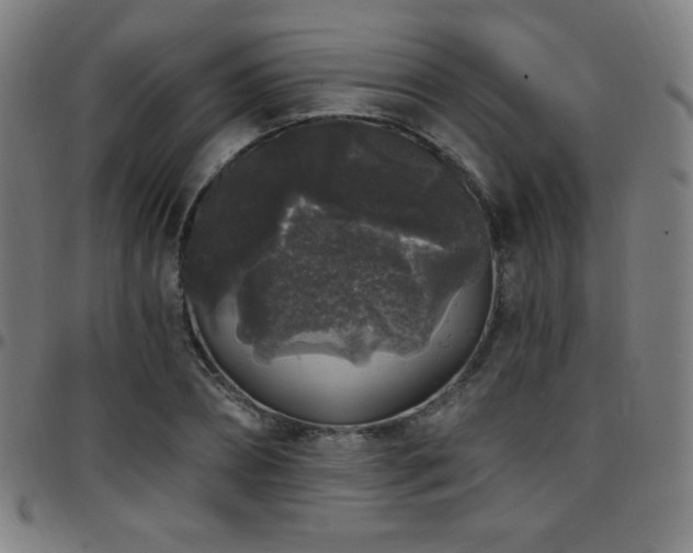 X0000097790882200803071410