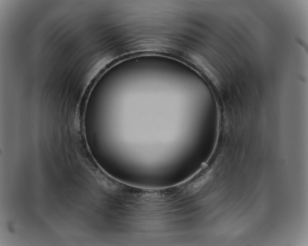 X0000097790883200803071410
