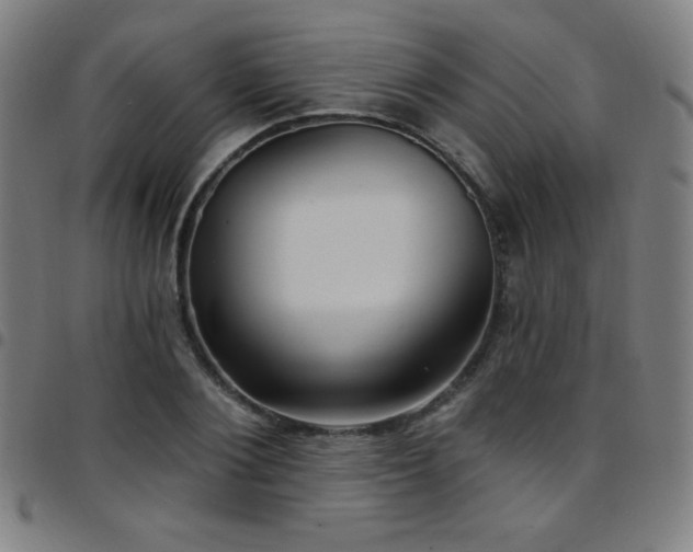 X0000097790884200803071410