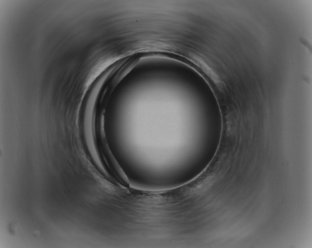 X0000097790885200803071410