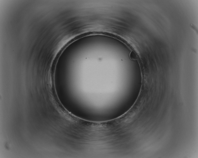 X0000097790887200803071410