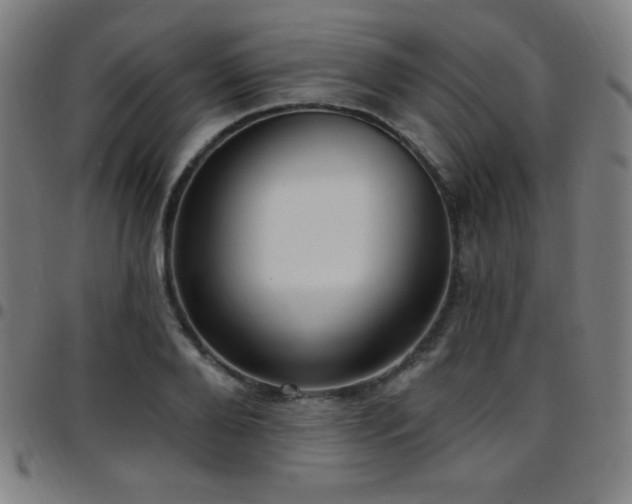 X0000097790888200803071410