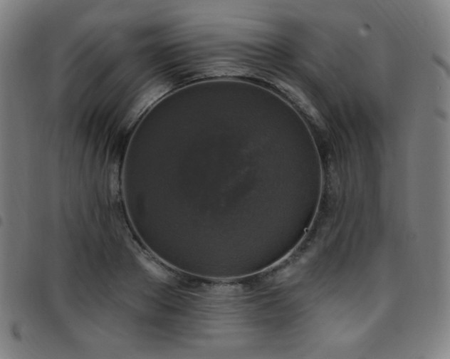 X0000097790889200803071410