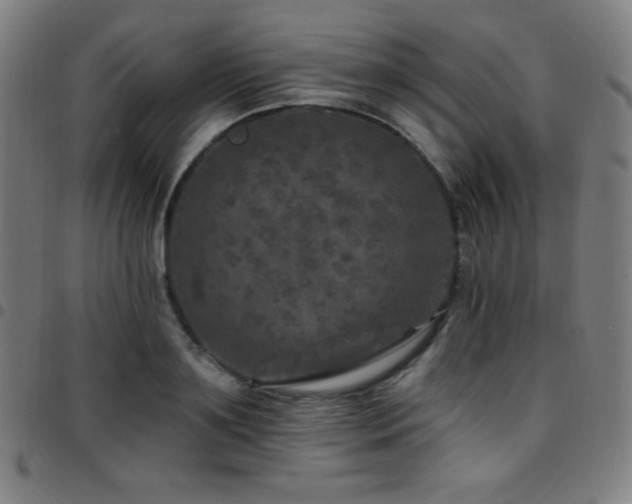 X0000097790891200803071410