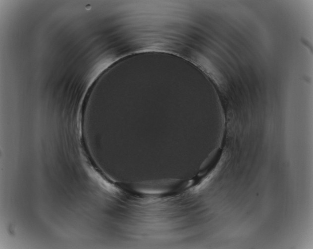 X0000097790892200803071410