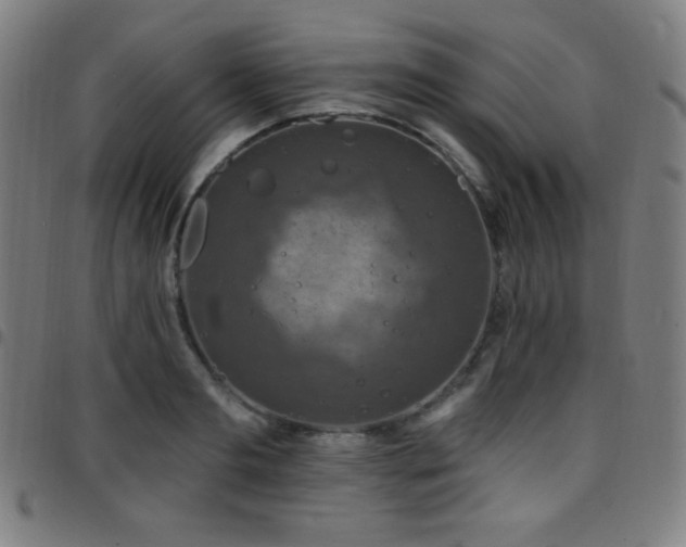 X0000097790893200803071410