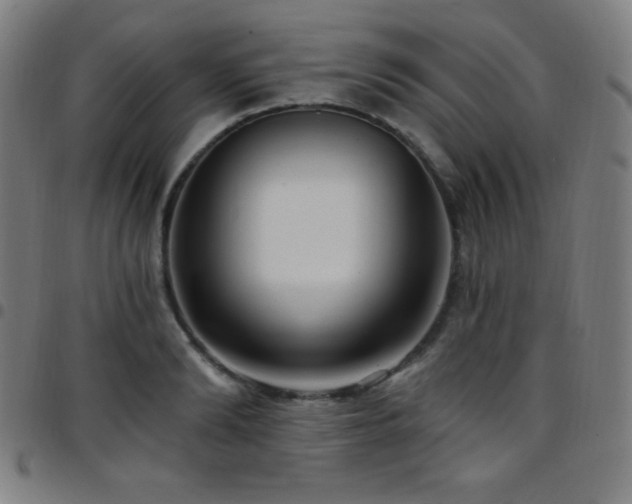 X0000097790894200803071410