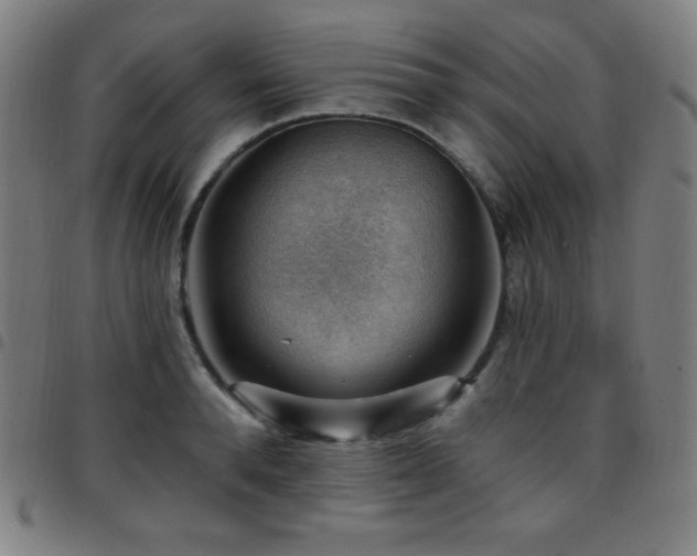 X0000097790896200803071410