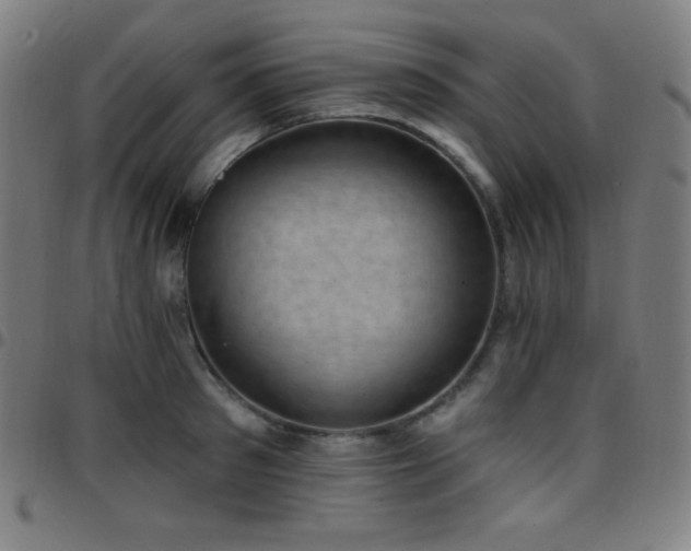 X0000097790897200803071409