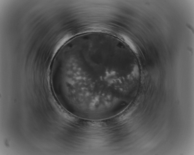 X0000097790899200803071409