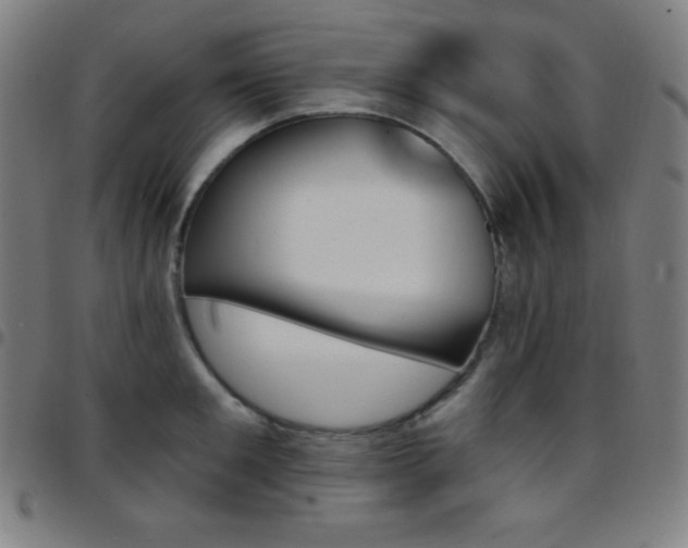 X0000097790901200803071409