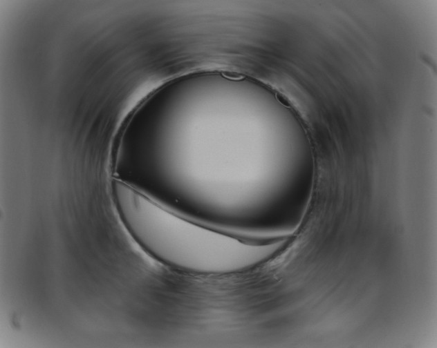 X0000097790902200803071409