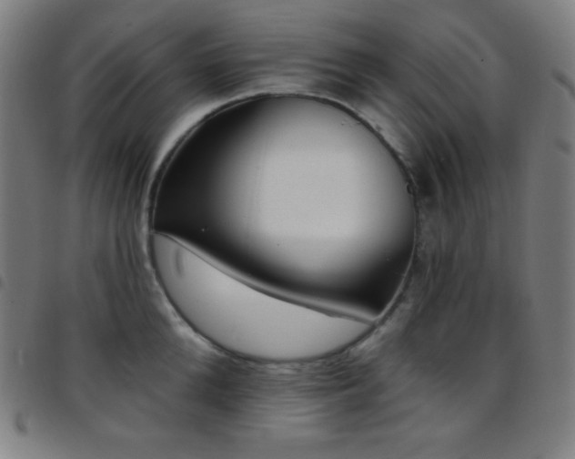 X0000097790904200803071409