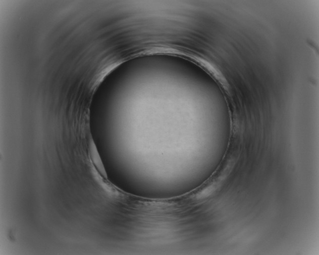 X0000097790905200803071409