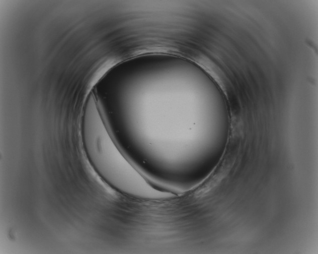 X0000097790906200803071409