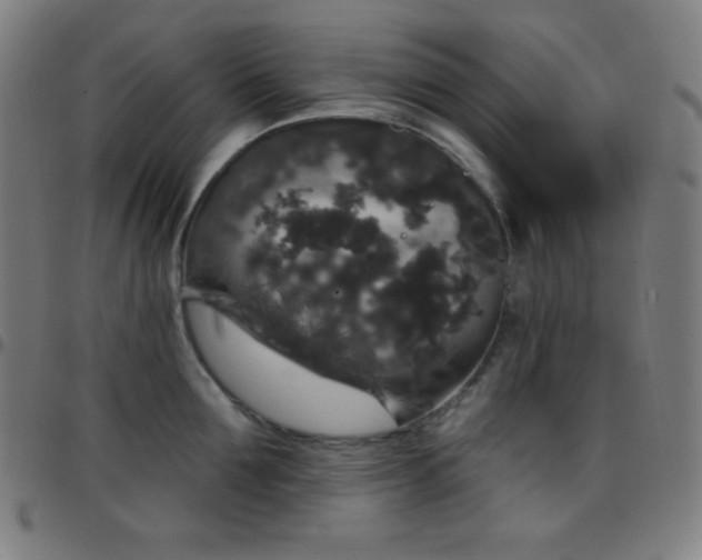X0000097790907200803071409