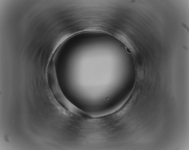 X0000097790908200803071409