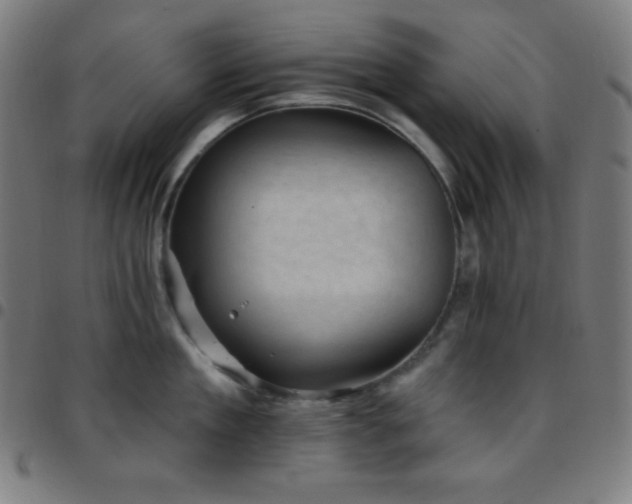 X0000097790909200803071409