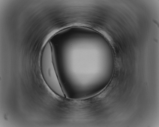 X0000097790910200803071409