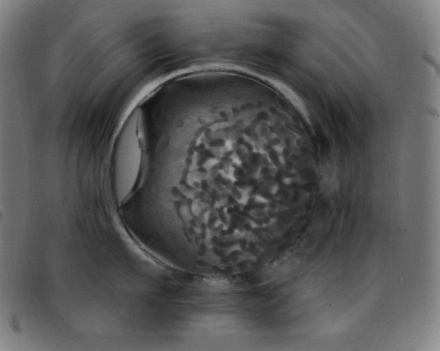 X0000097790911200803071409