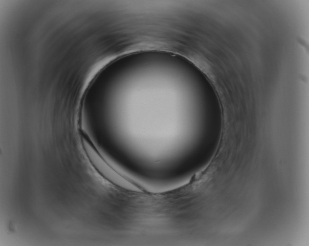 X0000097790912200803071409
