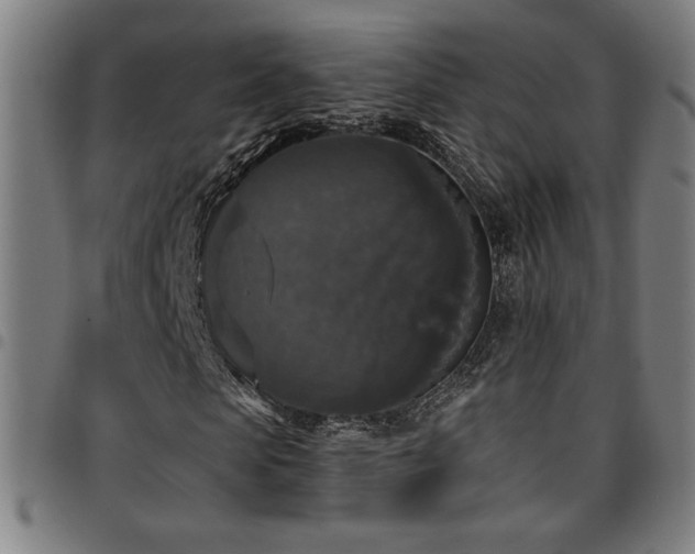 X0000097790913200803071409