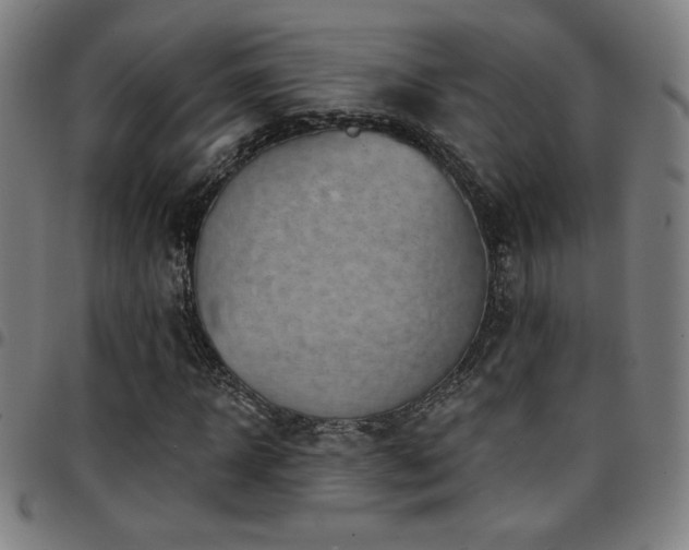 X0000097790918200803071409