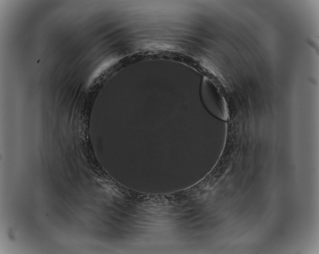 X0000097790919200803071409