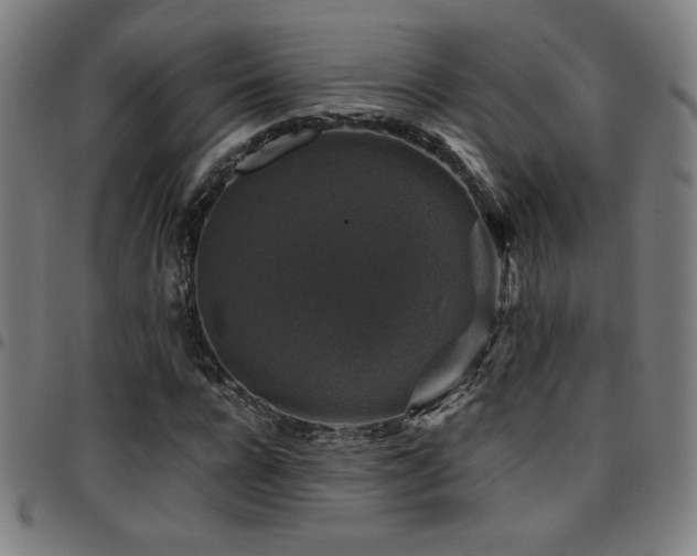 X0000097790920200803071409