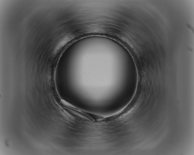 X0000097790922200803071409