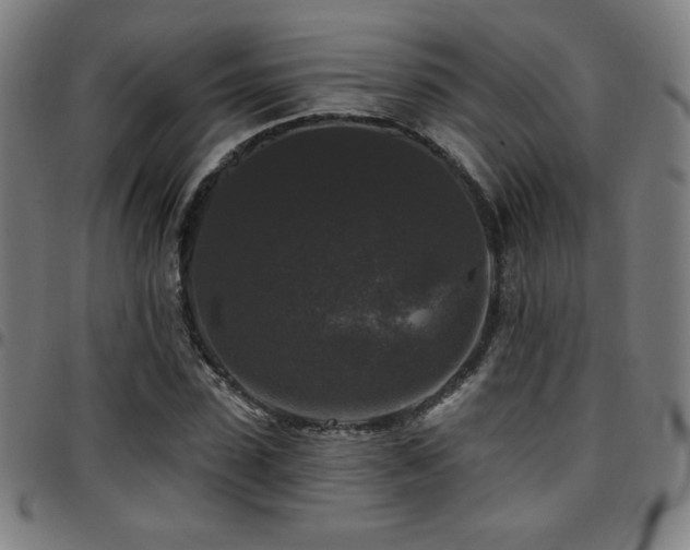 X0000097790923200803071409